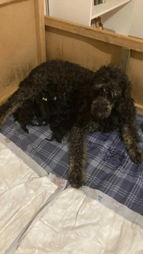 Maminka a &Iacute;čka